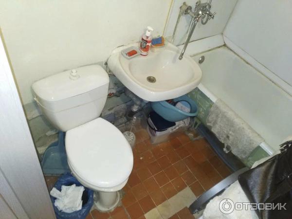 Фото из отзыва 12